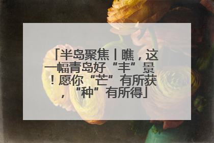 半岛聚焦丨瞧，这一幅青岛好“丰”景！愿你“芒”有所获，“种”有所得