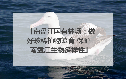 南盘江国有林场：做好珍稀植物繁育 保护南盘江生物多样性
