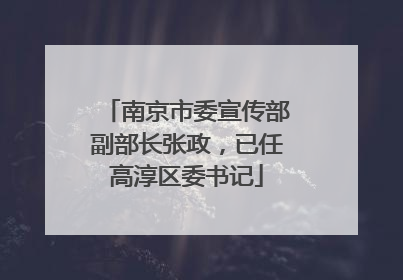 南京市委宣传部副部长张政，已任高淳区委书记