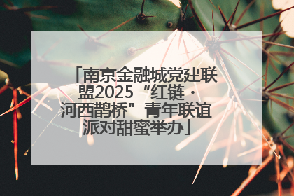 南京金融城党建联盟2025“红链・河西鹊桥”青年联谊派对甜蜜举办