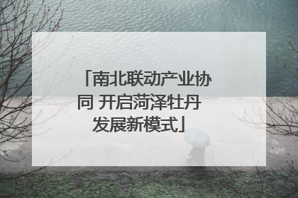 南北联动产业协同 开启菏泽牡丹发展新模式