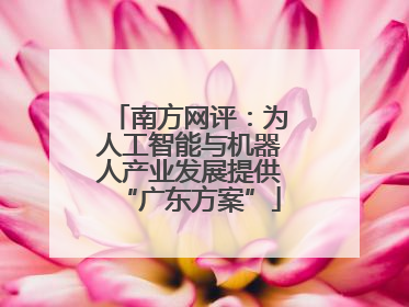 南方网评：为人工智能与机器人产业发展提供“广东方案”