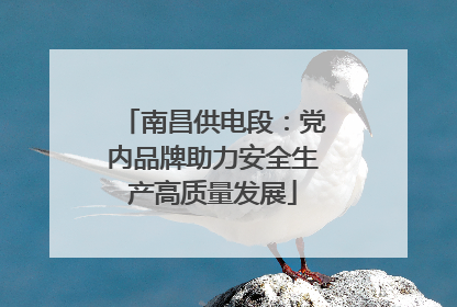 南昌供电段：党内品牌助力安全生产高质量发展