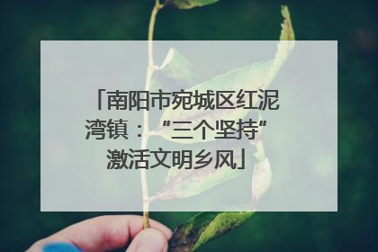 南阳市宛城区红泥湾镇：“三个坚持”激活文明乡风