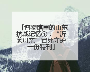博物馆里的山东抗战记忆①：“沂蒙母亲”冒死守护一份特刊