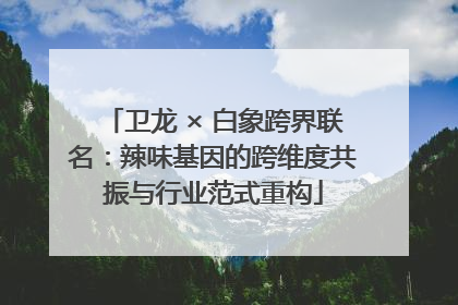 卫龙 × 白象跨界联名：辣味基因的跨维度共振与行业范式重构
