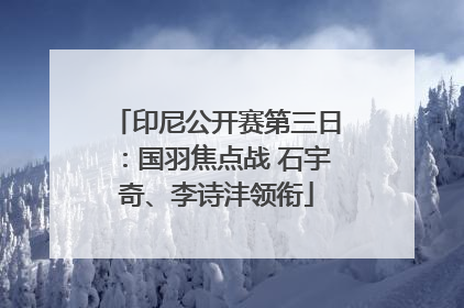 印尼公开赛第三日：国羽焦点战 石宇奇、李诗沣领衔