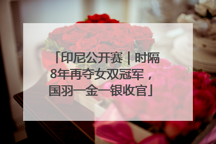 印尼公开赛｜时隔8年再夺女双冠军，国羽一金一银收官
