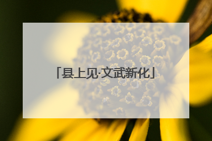 县上见·文武新化