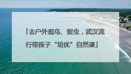 去户外观鸟、捉虫，武汉流行带孩子“培优”自然课