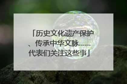 历史文化遗产保护、传承中华文脉……代表们关注这些事