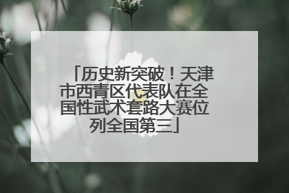 历史新突破！天津市西青区代表队在全国性武术套路大赛位列全国第三