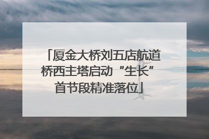 厦金大桥刘五店航道桥西主塔启动“生长” 首节段精准落位