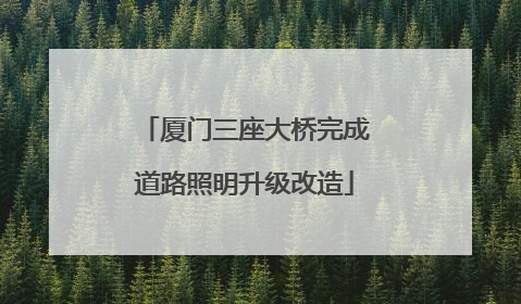 厦门三座大桥完成道路照明升级改造