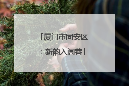 厦门市同安区：新韵入闾巷