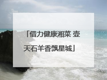 借力健康湘菜 壶天石羊香飘星城
