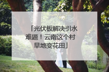光伏板解决引水难题！云南这个村旱地变花田