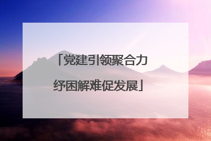 党建引领聚合力 纾困解难促发展