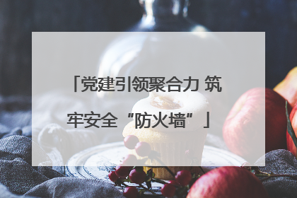 党建引领聚合力 筑牢安全“防火墙”