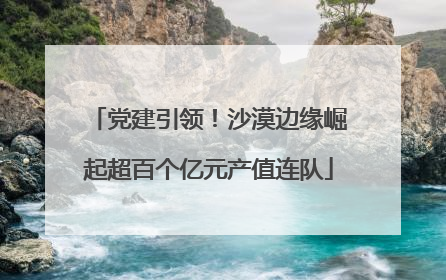 党建引领！沙漠边缘崛起超百个亿元产值连队