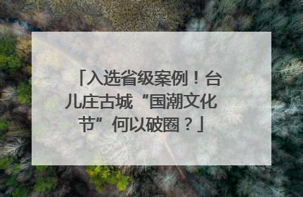 入选省级案例！台儿庄古城“国潮文化节”何以破圈？