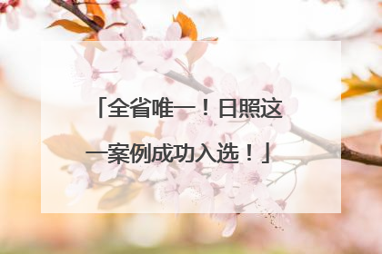 全省唯一！日照这一案例成功入选！