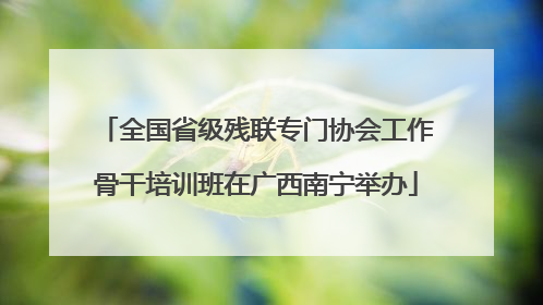 全国省级残联专门协会工作骨干培训班在广西南宁举办