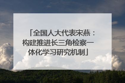 全国人大代表宋燕：构建推进长三角检察一体化学习研究机制
