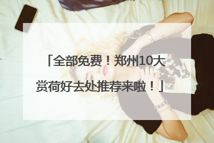 全部免费！郑州10大赏荷好去处推荐来啦！