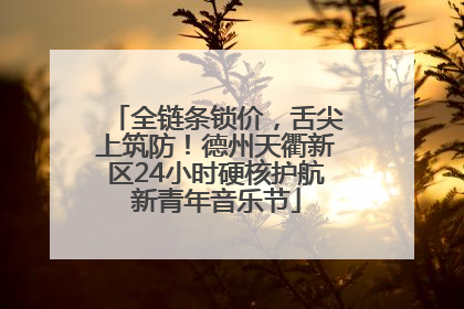 全链条锁价，舌尖上筑防！德州天衢新区24小时硬核护航新青年音乐节