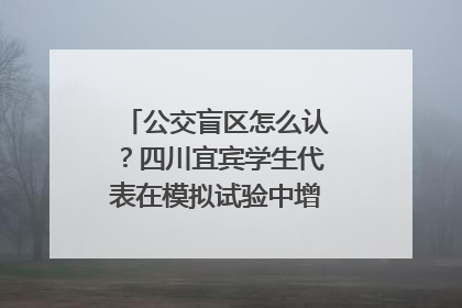 公交盲区怎么认？四川宜宾学生代表在模拟试验中增强乘车安全意识