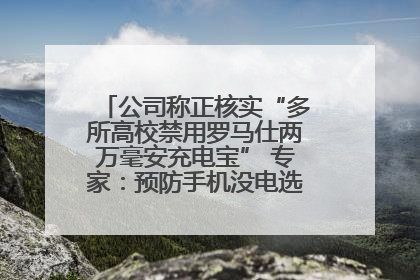 公司称正核实“多所高校禁用罗马仕两万毫安充电宝” 专家：预防手机没电选中等体积产品即可