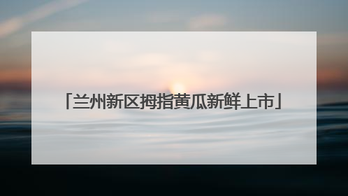 兰州新区拇指黄瓜新鲜上市