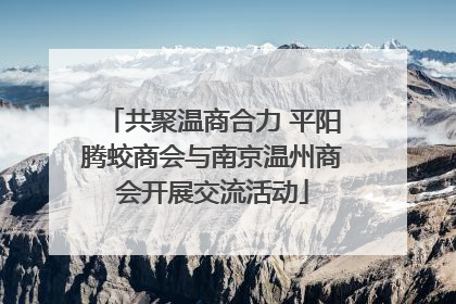 共聚温商合力 平阳腾蛟商会与南京温州商会开展交流活动