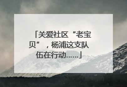 关爱社区“老宝贝”，杨浦这支队伍在行动……