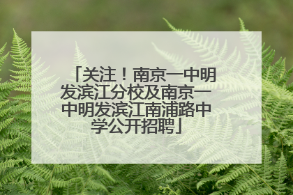 关注！南京一中明发滨江分校及南京一中明发滨江南浦路中学公开招聘