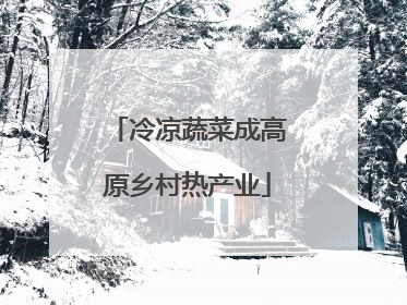冷凉蔬菜成高原乡村热产业