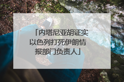 内塔尼亚胡证实以色列打死伊朗情报部门负责人