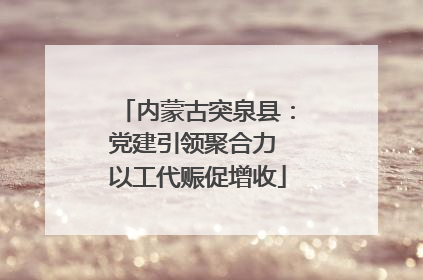 内蒙古突泉县：党建引领聚合力 以工代赈促增收