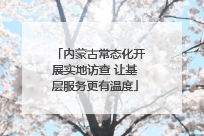 内蒙古常态化开展实地访查 让基层服务更有温度