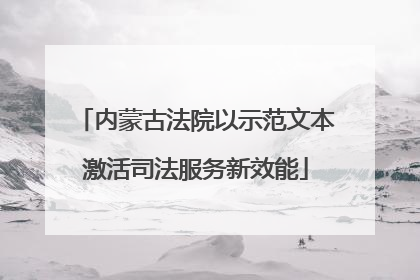 内蒙古法院以示范文本激活司法服务新效能