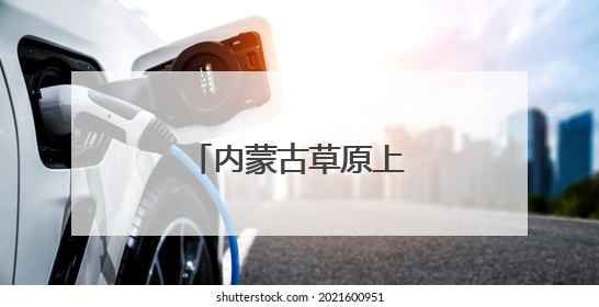 内蒙古草原上的“爱马士”
