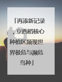再添新记录，京西稻核心种植区频现世界极危与濒危鸟种