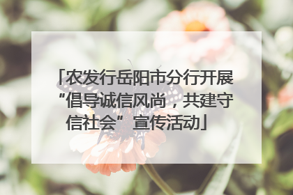 农发行岳阳市分行开展“倡导诚信风尚，共建守信社会”宣传活动