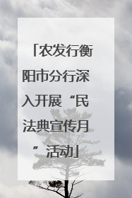 农发行衡阳市分行深入开展“民法典宣传月”活动
