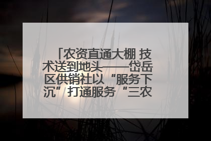 农资直通大棚 技术送到地头——岱岳区供销社以“服务下沉”打通服务“三农”最后一公里