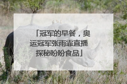 冠军的早餐，奥运冠军张雨霏直播探秘盼盼食品