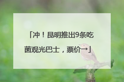 冲！昆明推出9条吃菌观光巴士，票价→