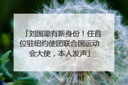 刘国梁有新身份！任首位驻纽约使团联合国运动会大使，本人发声