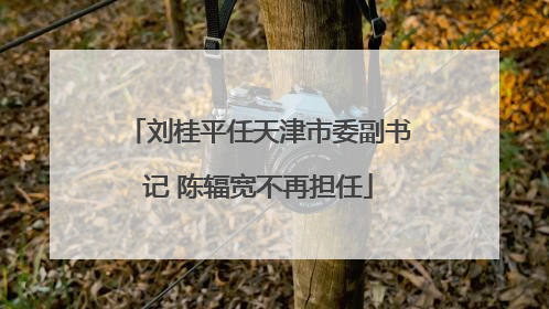 刘桂平任天津市委副书记 陈辐宽不再担任